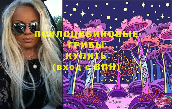 соль ск Козловка