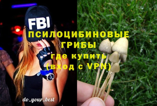 соль ск Козловка