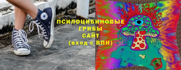 соль ск Козловка