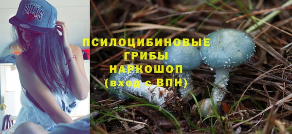 соль ск Козловка