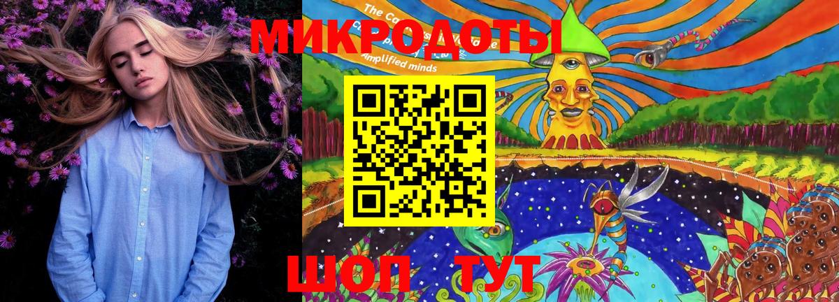 Галлюциногенные грибы Cubensis  Вход с VPN  Галлюциногенные грибы прущие грибы  Юрга 